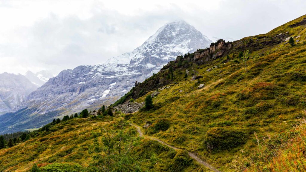 Der Weg nach Alpiglen mit der Eiger Nordwand im Hintergrund